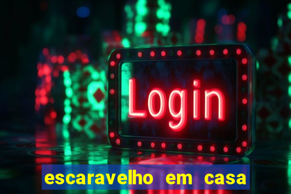 escaravelho em casa significado espiritual